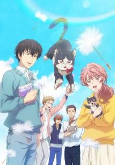 Doukyonin wa Hiza, Tokidoki, Atama no Ue. [BATCH] Subtitle Indonesia