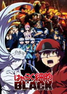 Hataraku Saibou Black [BATCH] Subtitle Indonesia