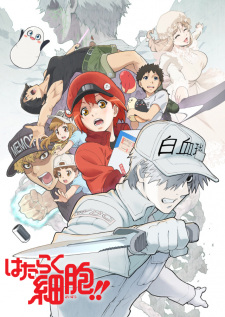 Hataraku Saibou Season 2 [BATCH] Subtitle Indonesia