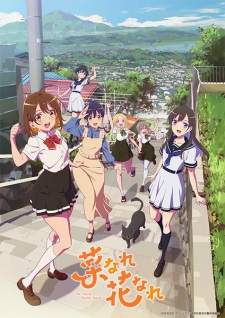 Na Nare Hana Nare [BATCH] Subtitle Indonesia