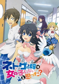 Netoge no Yome [BATCH] Subtitle Indonesia