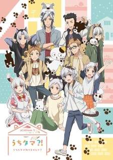 Uchi Tama?! Uchi no Tama Shirimasen ka? [BATCH] Subtitle Indonesia